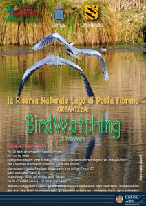 Birdwatching immagine 99