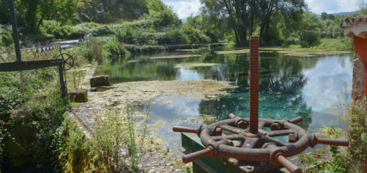 riserva lago di Posta Fibreno immagine 3