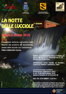 Locandina La notte delle lucciole III edizione