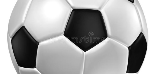 pallone di cuoio immagine 1