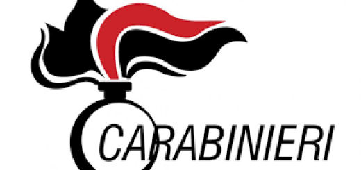 Arma dei Carabinieri logo immagine 3