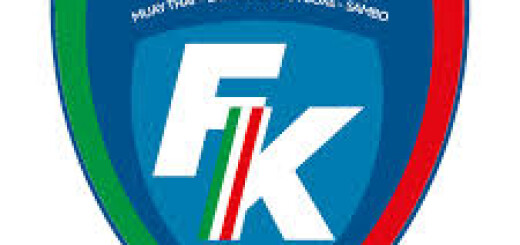 Feder Kombat logo