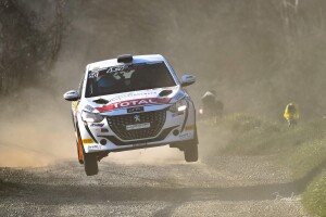 Peugeot208 rally immagine 3