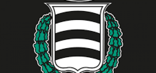 Logo Sora calcio immagine 5