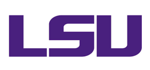 Immagine Lsu