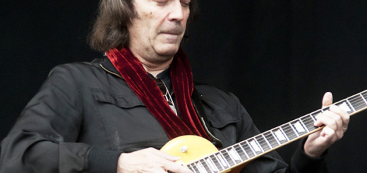 Steve Hackett - immagine