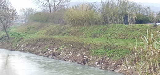 pulizia Liri ter