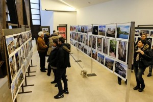 mostra frosinone e provincia immagine