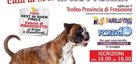Esposizizione regionale canina immagine 2
