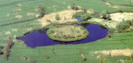 ISOLA GALLEGGIANTE IMMAGINE 1