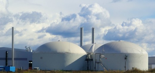 centrale-a-biomasse-immagine-5