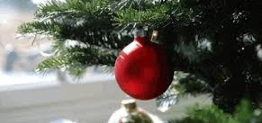 abete-di-natale-immagine-3