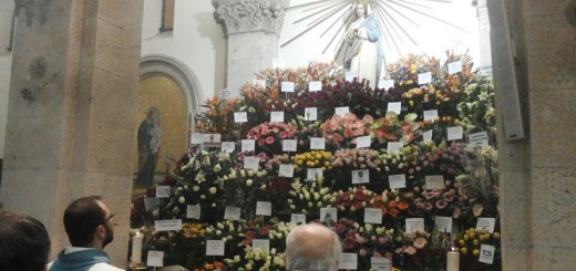 novena-immacolata-immagine-5