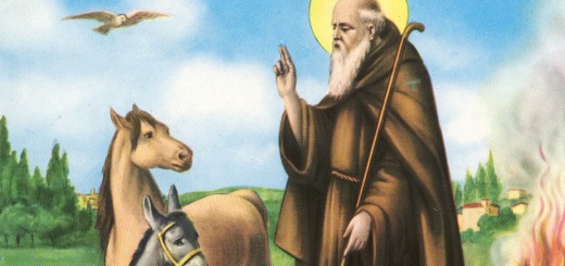sant_antonio_abate_animali immagine 3