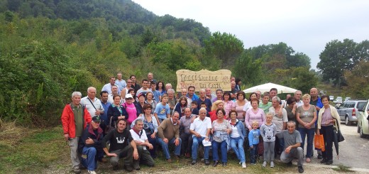 Cittattiva immagine 2