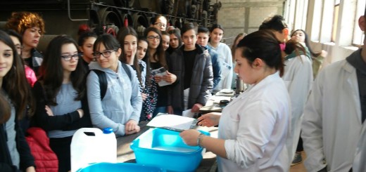 Boimond immagine 99