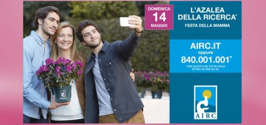 L'Azalea per la ricerca immagine 98