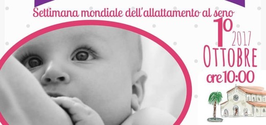 SORALLATTA 2017