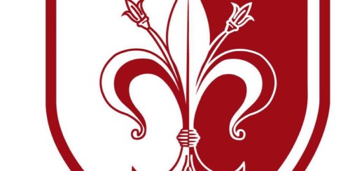 Logo Ferentino Calcio immagine 5