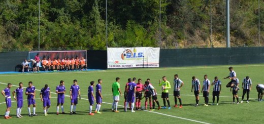 Stretta di mano - Boreale vs Sora calcio immagine 5