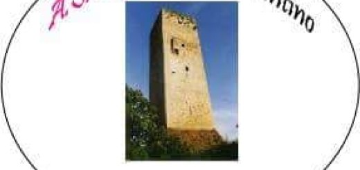 Associazione La Torre Ferentino immagine 5