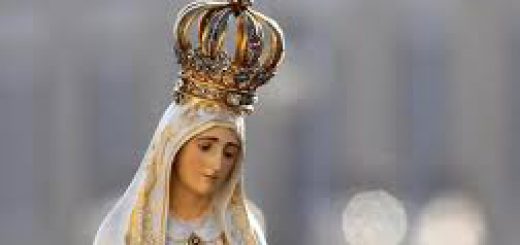 Scomparsa Rosetta Di Carlo immagine 5