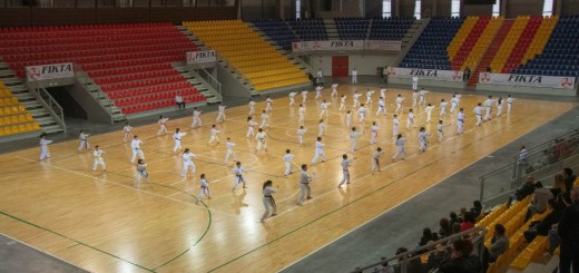 Atleti Karate immagine 3