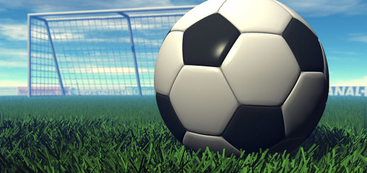 Pallone di cuoio immagine 5