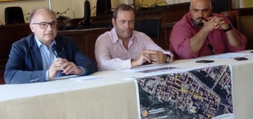 Conferenza Gemmiti-De Donatis-Caschera immagine 1