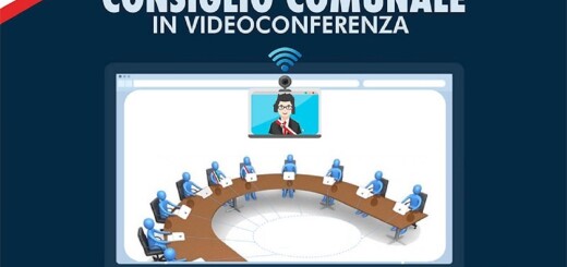 Seduca consiliare in videconferenza immagine 1