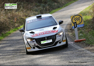 Peugeot208 rally immagine 1