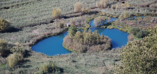 L'isola galleggiante bis