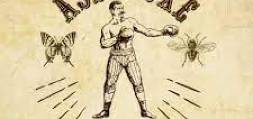 Asd Boxe Sora immagine 5