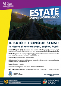 Locandina il buio 2
