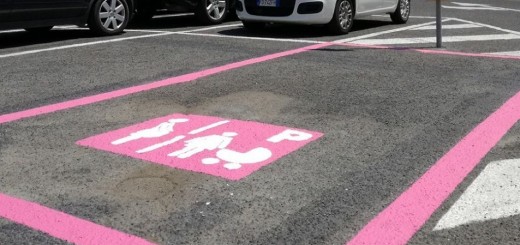 stallo rosa immagine 1