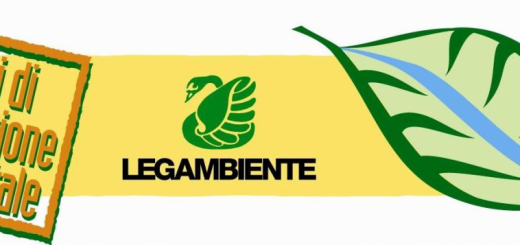centro di educazione ambientale logo