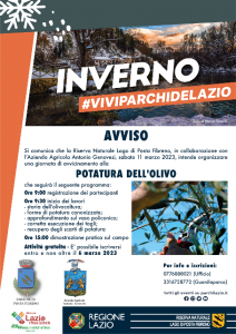 locandina potatura olive