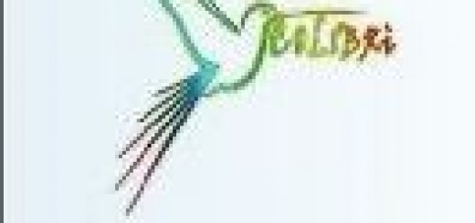 logo colibrì