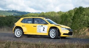 AUDIRAC SKODA 1
