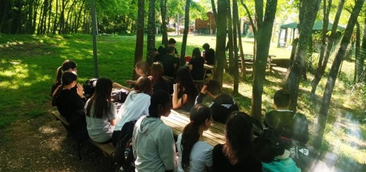orienteering 2